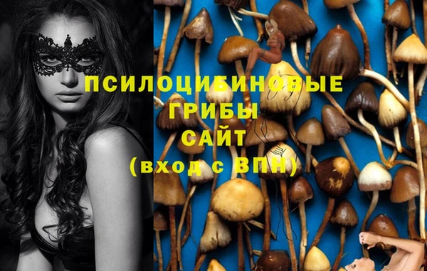 гидропоника Арсеньев