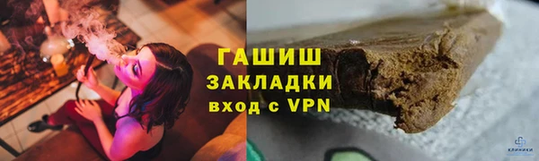 хмурый Аркадак