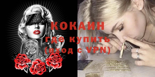 хмурый Аркадак