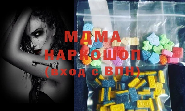хмурый Аркадак