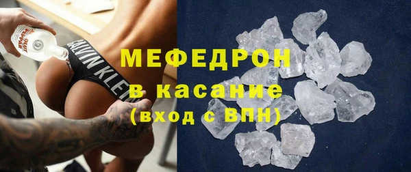 хмурый Аркадак