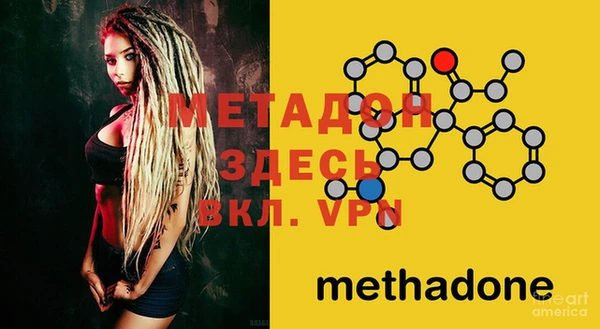 хмурый Аркадак