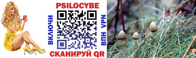 Купить  Дюртюли  Псилоцибиновые грибы мухоморы 